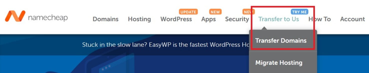 نقل الدومين من شركة إلى أخرى إلى نيم شيب 1